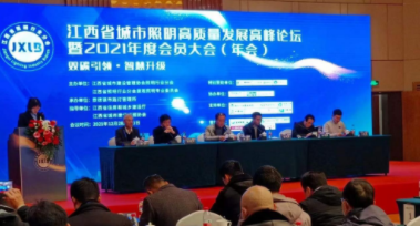开云体app下载(中国)官方网站受邀参加江西省城市照明高质量发展高峰论坛